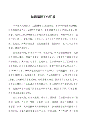 2024年防汛排涝工作汇报(十七篇).docx