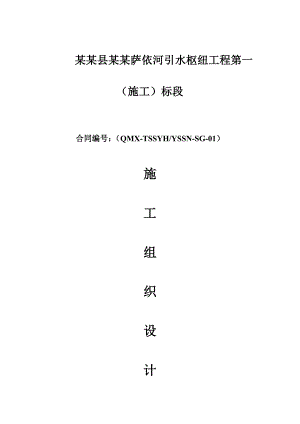塔什萨依河枢纽工程施工组织设计.doc