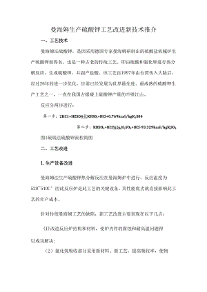 曼海姆生产硫酸钾工艺改进新技术推介.docx
