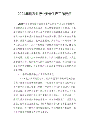 2024年县农业行业安全生产工作要点.docx
