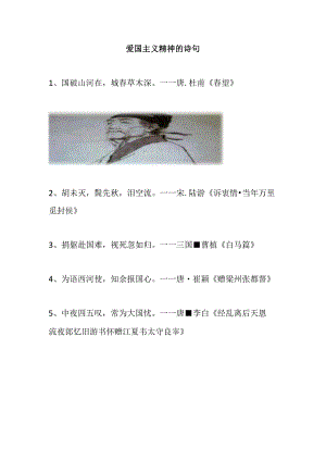 爱国主义精神的诗句.docx