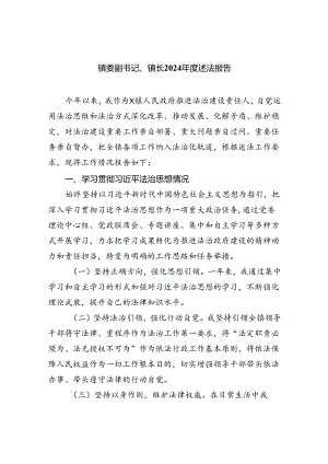镇委副书记、镇长2024年度述法报告(5篇集合).docx