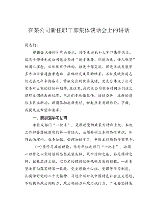 在某公司新任职干部集体谈话会上的讲话.docx