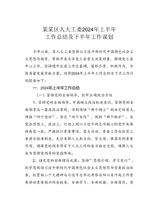 某某区人大工委2024年上半年工作总结及下半年工作谋划.docx