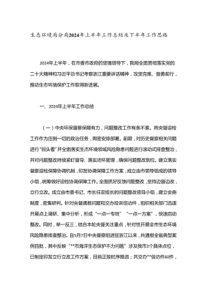生态环境局分局2024年上半年工作总结及下半年工作思路.docx