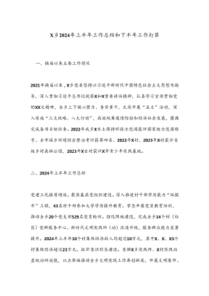 X乡2024年上半年工作总结和下半年工作打算.docx