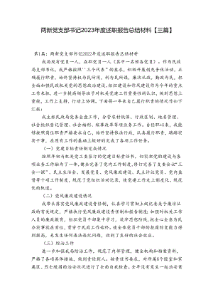 两新党支部书记2023年度述职报告总结材料【三篇】.docx
