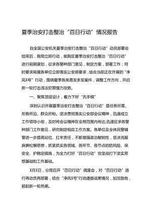 二十八篇2024年区公安分局开展夏季治安打击整治“百日行动”进展情况汇报总结.docx