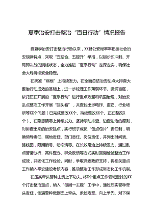 公安2024年夏季治安打击整治“百日行动”情况总结报告20篇.docx