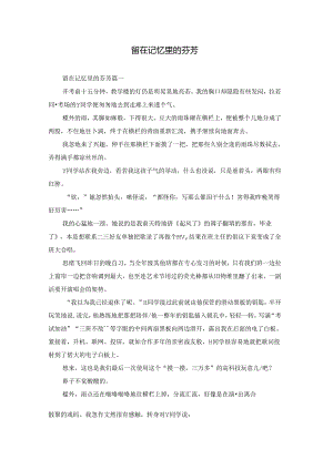 留在记忆里的芬芳.docx
