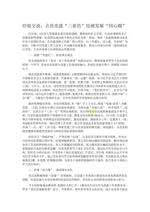 经验交流：点亮党建“三原色” 绘就发展“同心圆”.docx