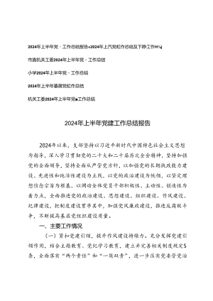 6篇 2024年上半年党建工作总结及下半年工作计划.docx