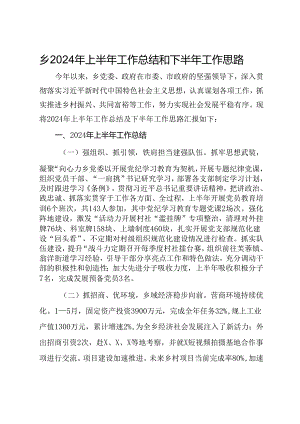 乡2024年上半年工作总结和下半年工作思路.docx