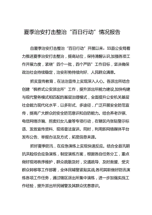2024年公安机关夏季治安打击整治行动情况报告二十一篇.docx