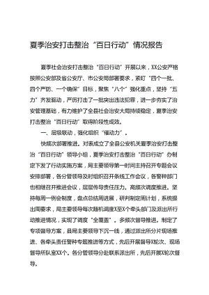 二十八篇2024年公安夏季治安打击整治“百日行动”总结报告.docx