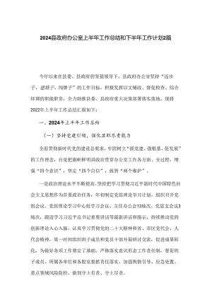 2024县政府办公室上半年工作总结和下半年工作计划2篇.docx