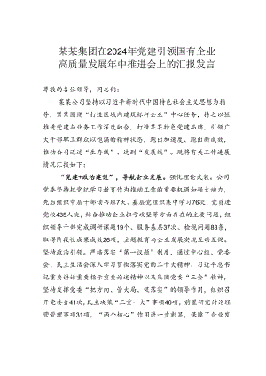 某某集团在2024年党建引领国有企业高质量发展年中推进会上的汇报发言.docx