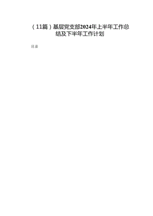 （11篇）基层党支部2024年上半年工作总结及下半年工作计划.docx