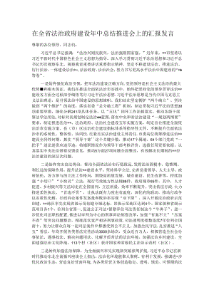在全省法治政府建设年中总结推进会上的汇报发言.docx