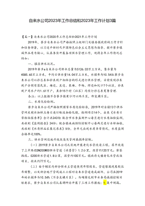 自来水公司2023年工作总结和2023年工作计划3篇.docx