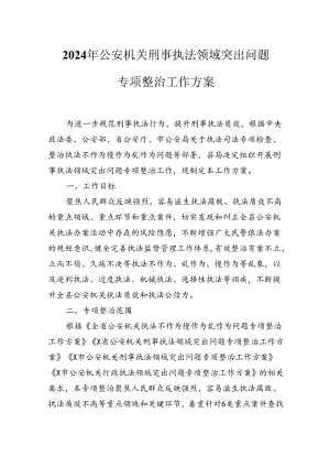 2024年公安机关刑事执法领域突出问题专项整治工作方案.docx
