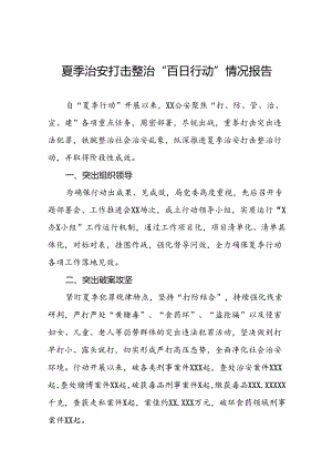 公安2024夏季治安打击整治“百日行动”总结报告(二十五篇).docx
