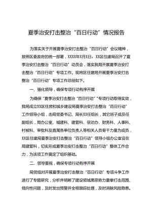 二十三篇2024年公安机推进夏季治安打击整治行动情况报告.docx