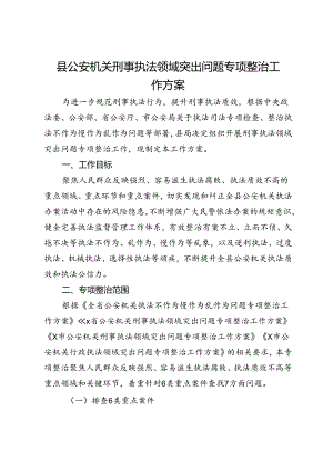 县公安机关刑事执法领域突出问题专项整治工作方案.docx