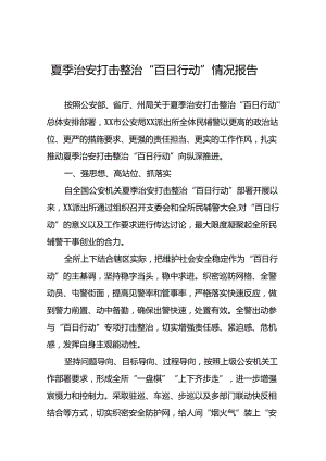 公安2024年夏季治安打击整治行动情况汇报(24篇).docx