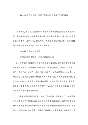 2024年区人大工委上半年工作总结及下半年工作谋划2篇.docx