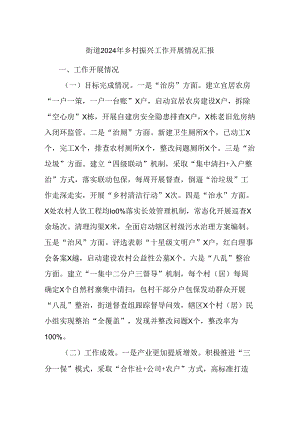 街道2024年乡村振兴工作开展情况汇报.docx