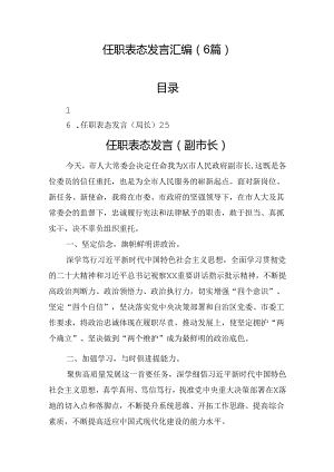 任职表态发言汇编（6篇）.docx