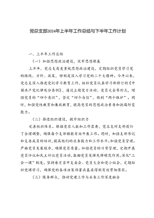 3篇 党总支部2024年上半年工作总结与下半年工作计划.docx