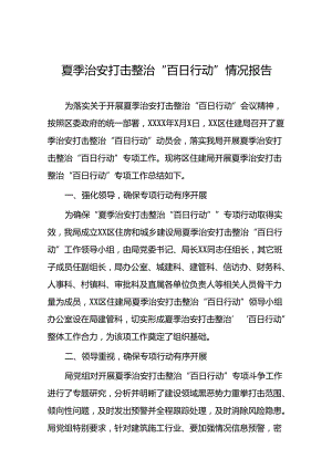 2024年公安机关夏季治安打击整治行动情况报告(二十五篇).docx