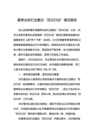 二十三篇2024年公安开展夏季治安打击整治行动总结汇报.docx