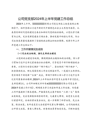 公司党支部2024年上半年党建工作总结.docx