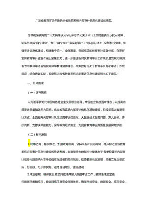 广东省教育厅关于推进全省教育系统内部审计信息化建设的意见.docx