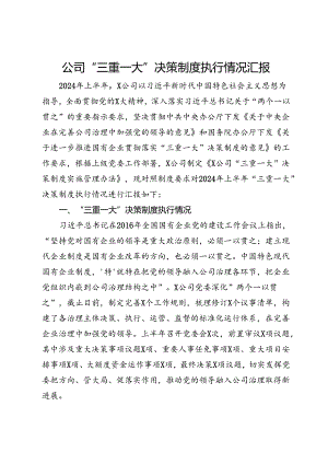公司2024年上半年“三重一大”决策制度执行情况汇报.docx