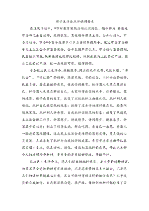 班子生活会点评强调要求.docx