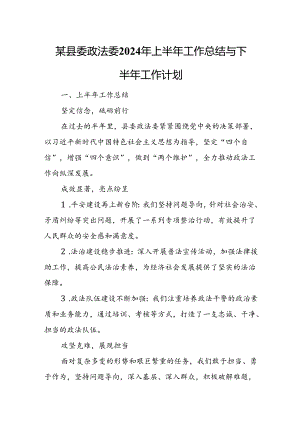 某县委政法委2024年上半年工作总结与下半年工作计划.docx