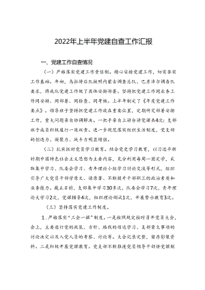 2022年上半年党建自查工作汇报.docx