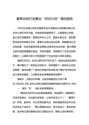 2024年公安夏季治安打击整治行动情况报告精选范文(24篇).docx