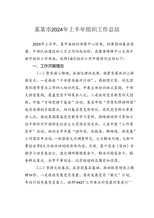 某某市2024年上半年组织工作总结.docx