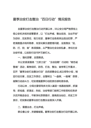 2024年公安夏季治安打击整治行动情况报告精选范文二十一篇.docx