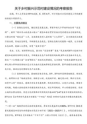关于乡村振兴示范村建设情况的考察报告.docx