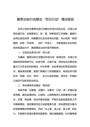 二十八篇2024年夏季治安打击整治专项行动工作总结.docx