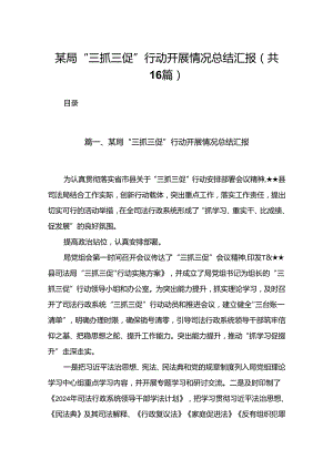 某局“三抓三促”行动开展情况总结汇报范文16篇供参考.docx