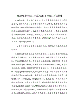 民政局上半年工作总结.docx