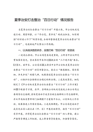 二十三篇2024年公安夏季治安打击整治专项行动总结汇报.docx