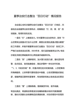公安2024年夏季治安打击整治行动总结报告(二十五篇).docx